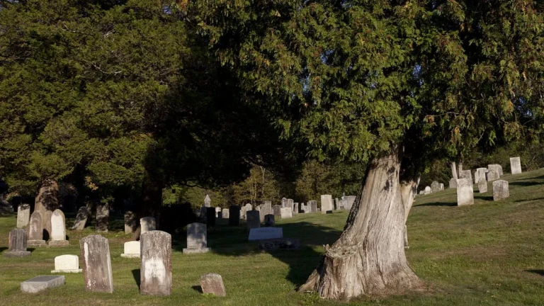 Stone ruins and forest paths in Dudleytown, a secluded Connecticut ghost town surrounded by trees